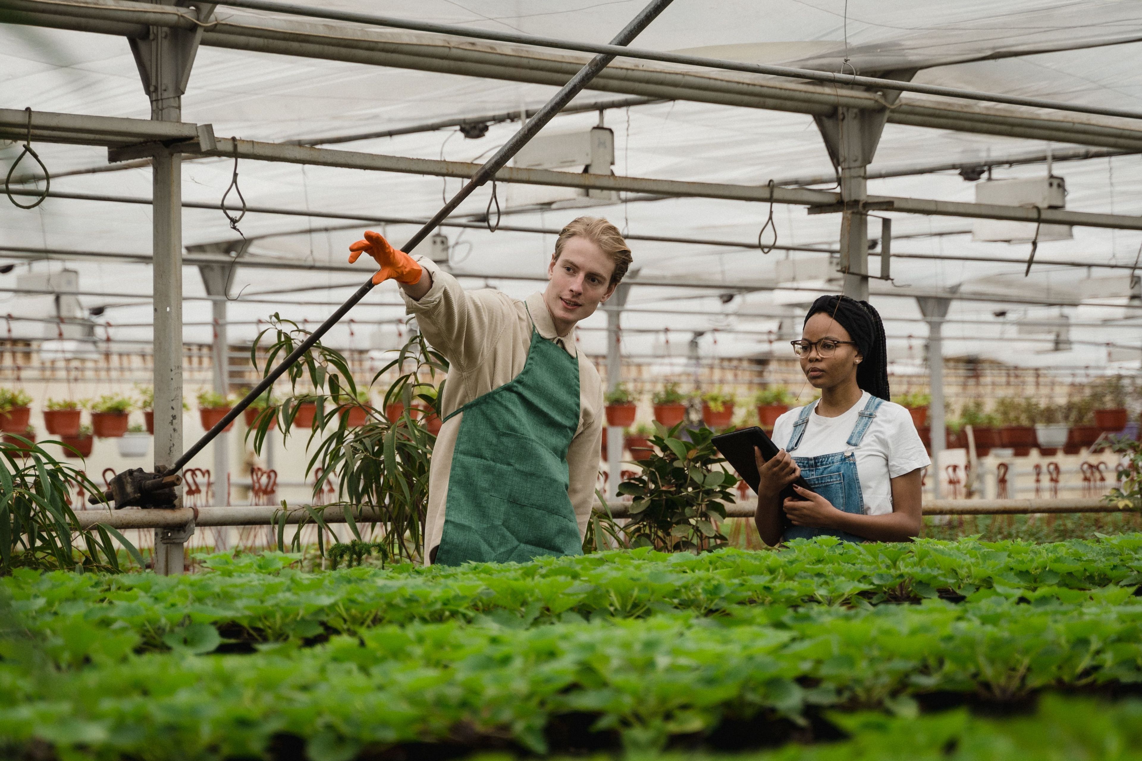 Farmer meeting with a reliable H-2A agency partner