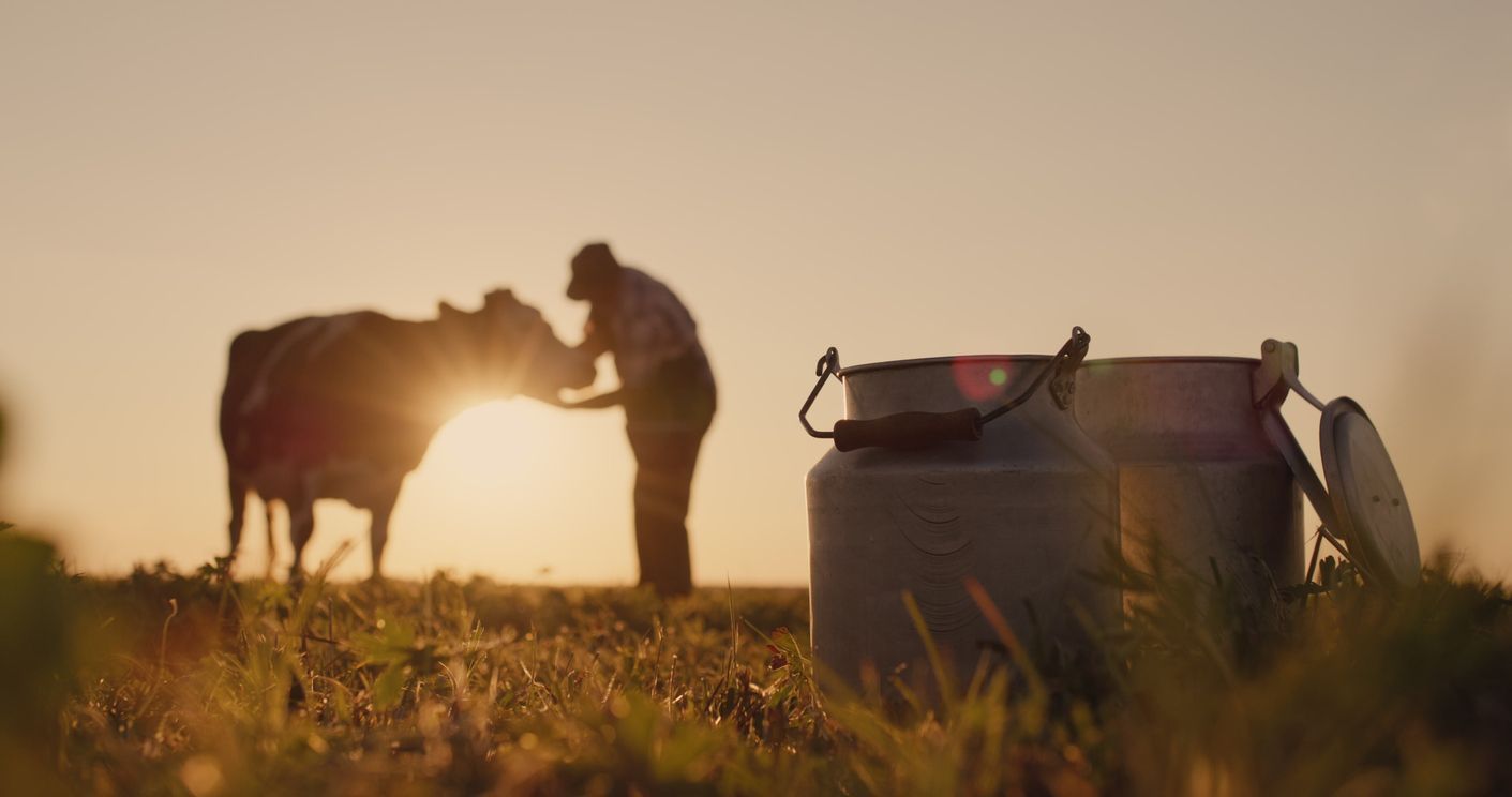 Dairy farm with cows representing H-2A eligibility guidance